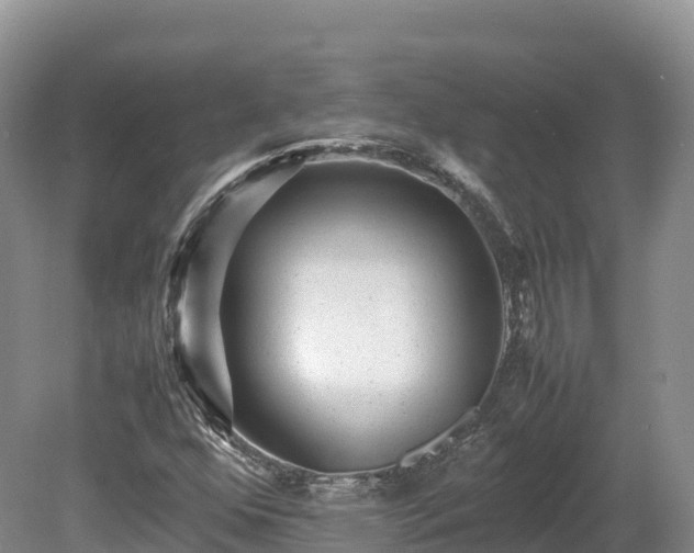 X0000080681352200612221132