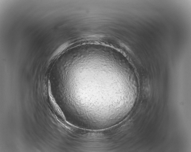 X0000080681354200612221132