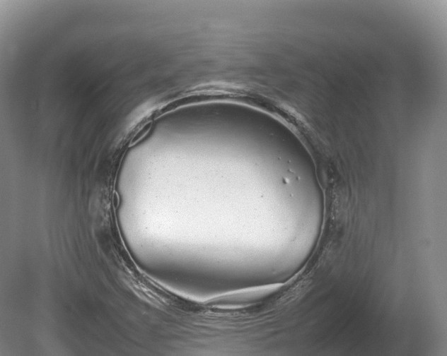 X0000080681355200612221132