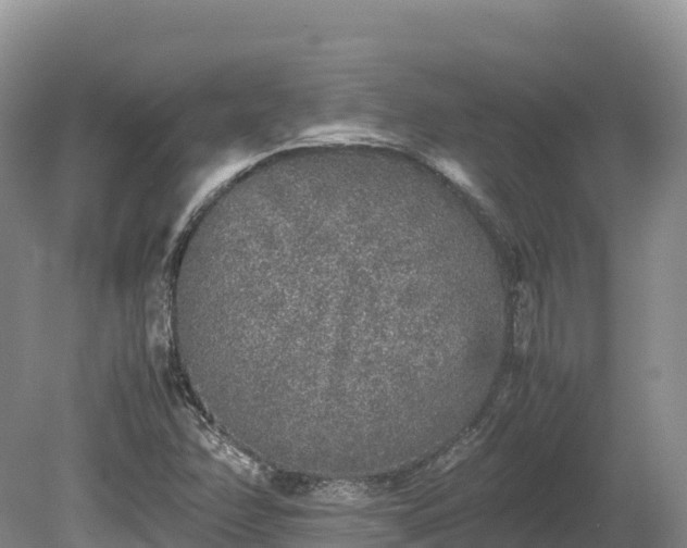 X0000080681358200612221132