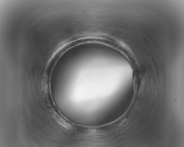 X0000080681360200612221132