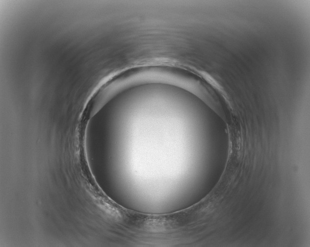 X0000080681364200612221132