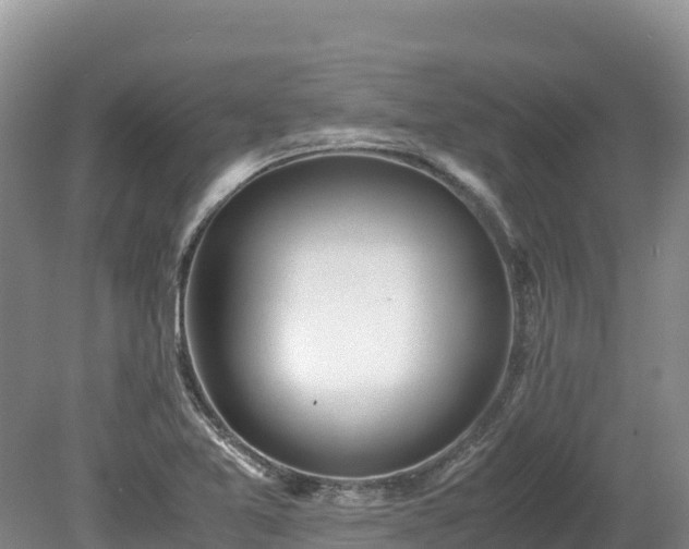X0000080681365200612221132