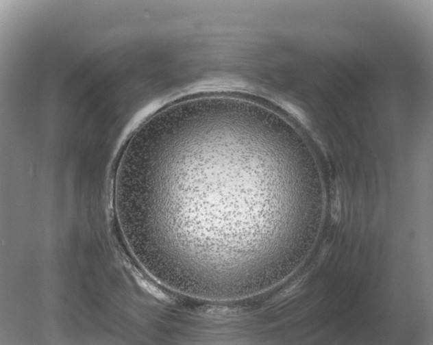 X0000080681366200612221132