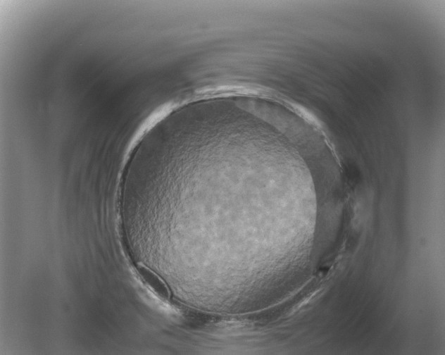 X0000080681373200612221131