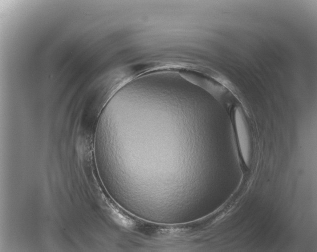 X0000080681377200612221131