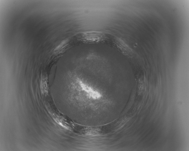 X0000080681394200612221130
