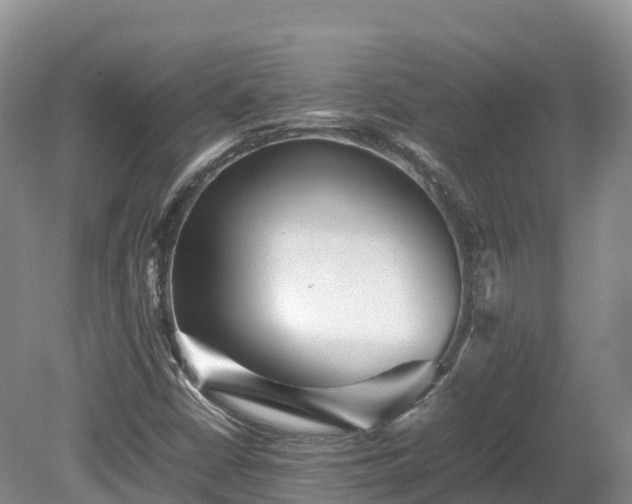 X0000080681402200612221131