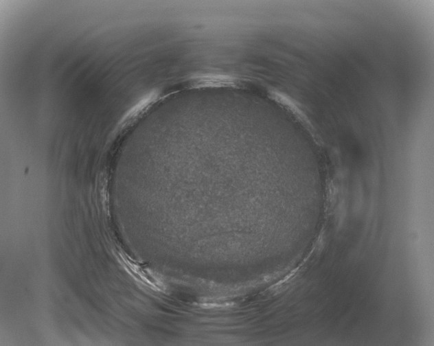 X0000080681403200612221131