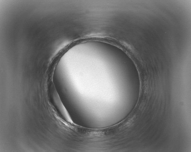 X0000080681406200612221131
