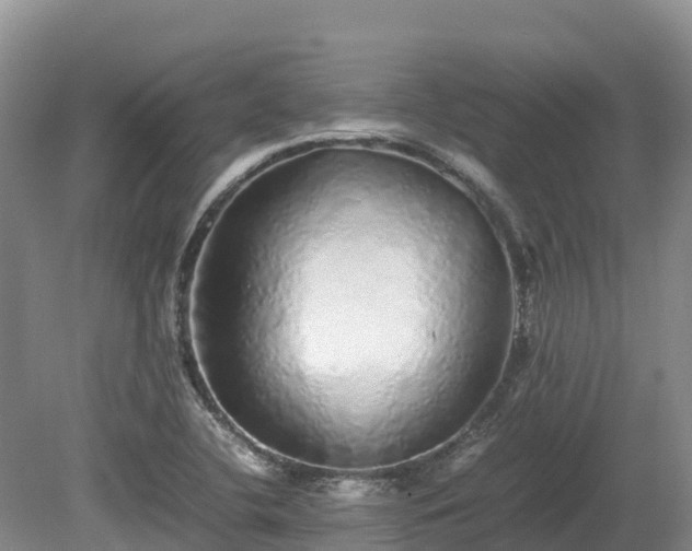 X0000080681412200612221131