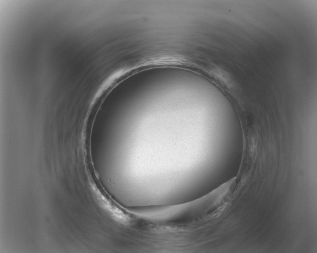 X0000080681422200612221131