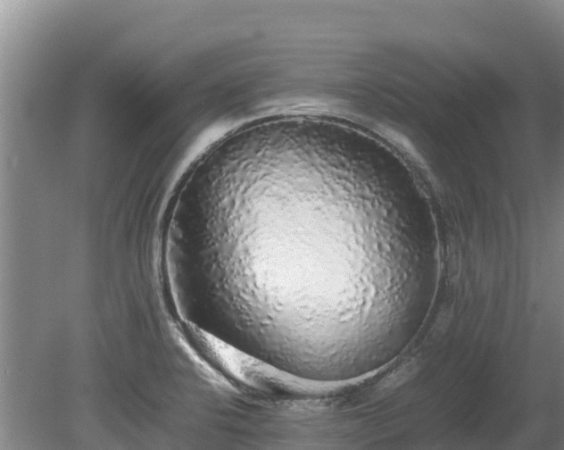 X0000080681424200612221131