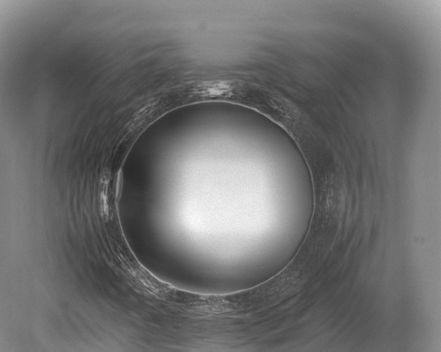 X0000080681442200612221130