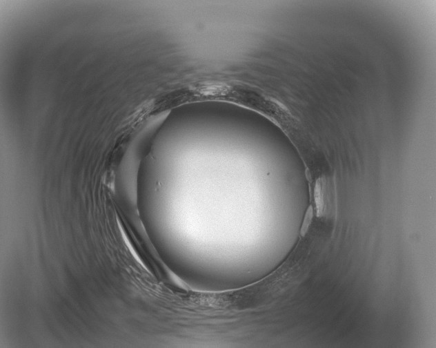 X0000080681443200612221130
