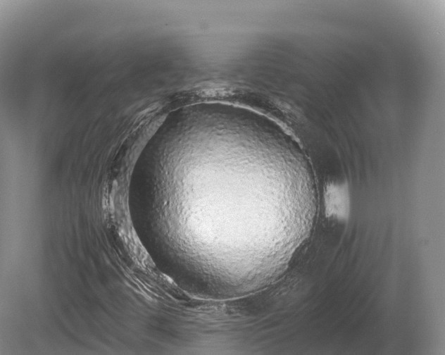 X0000080681444200612221130