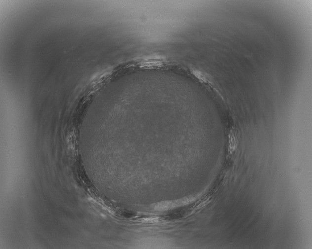 X0000080681445200612221130