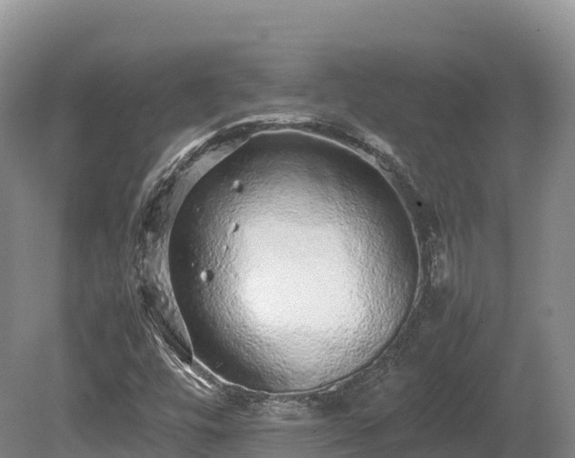 X0000080681448200612221130