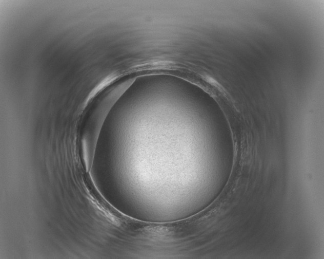 X0000080681450200612221130