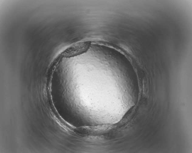 X0000080681452200612221130