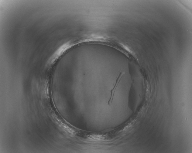 X0000080681455200612221130