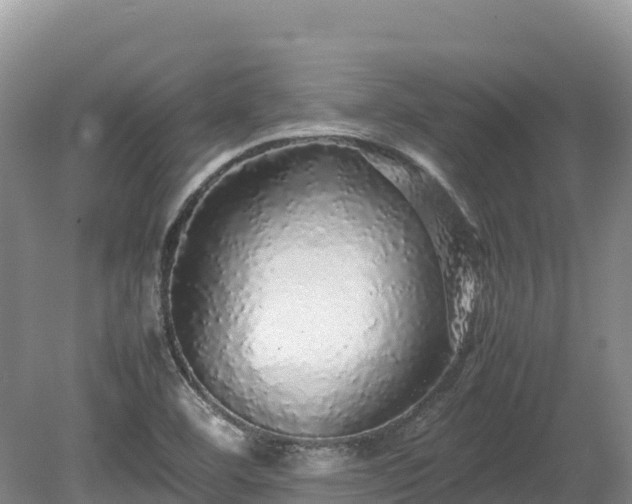 X0000080681460200612221130