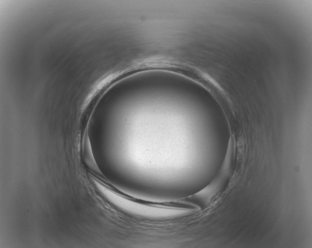 X0000080681461200612221130