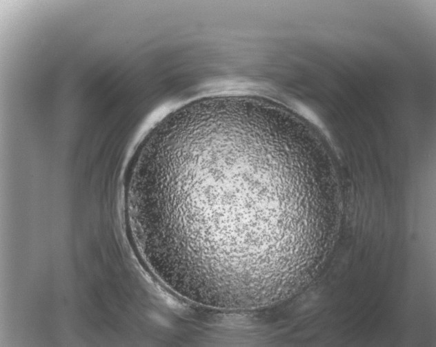 X0000080681472200612221130