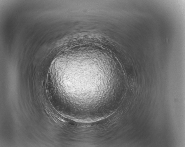 X0000080681489200612221129
