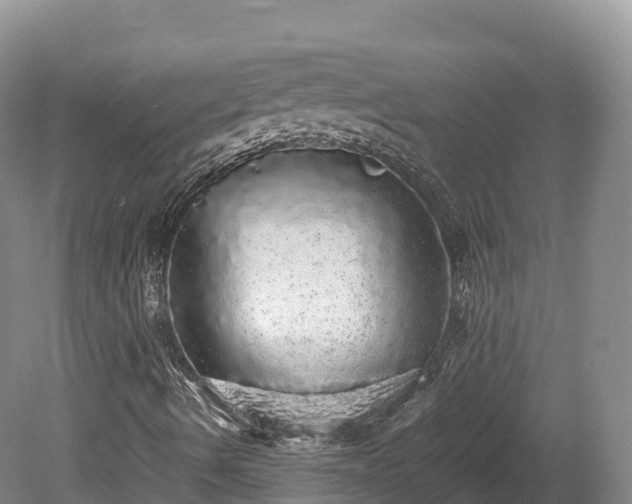 X0000080681490200612221129