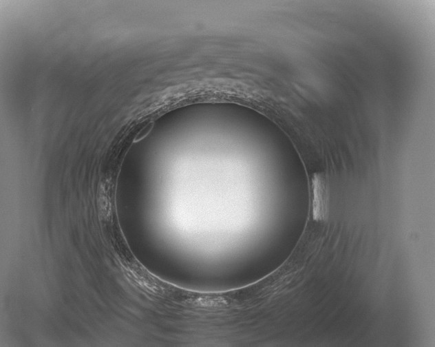 X0000080681491200612221129