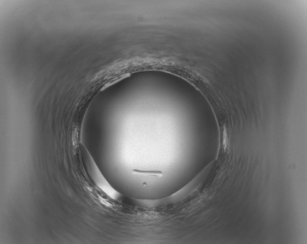 X0000080681492200612221129