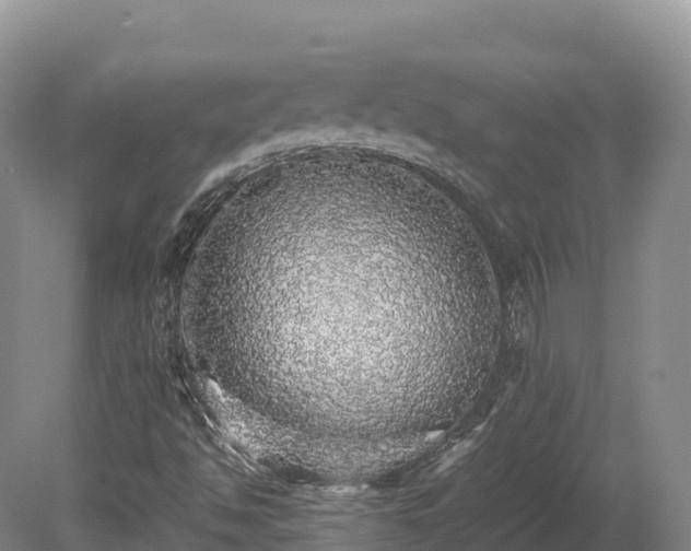 X0000080681494200612221129