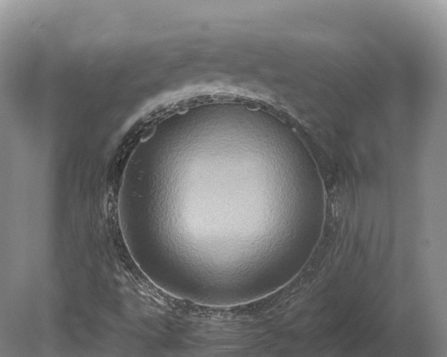 X0000080681495200612221129