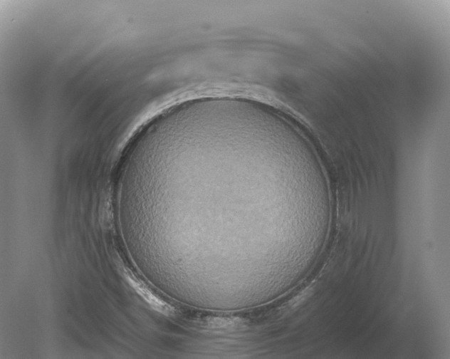 X0000080681498200612221129