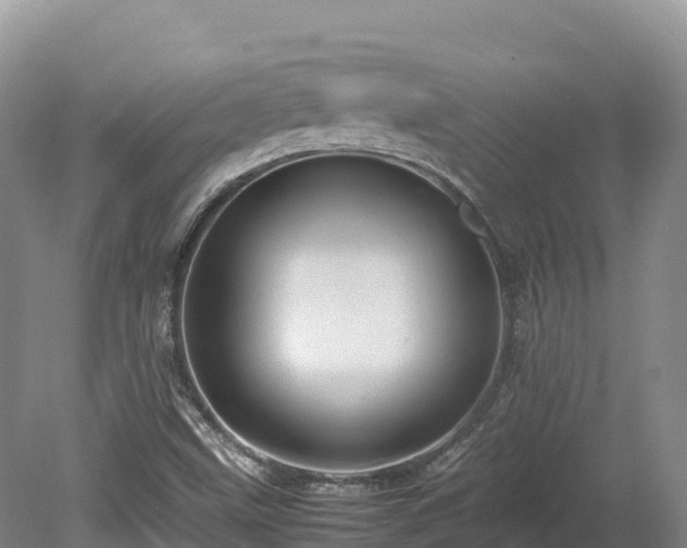 X0000080681499200612221129