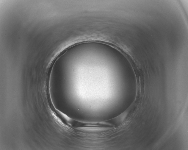 X0000080681500200612221129