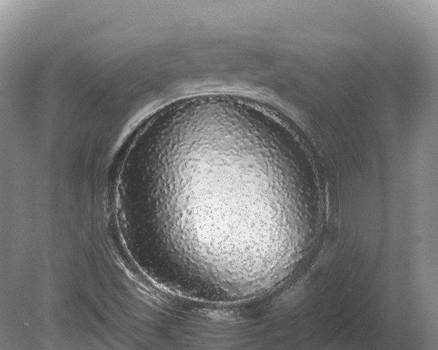 X0000080681501200612221129
