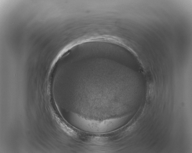 X0000080681506200612221129