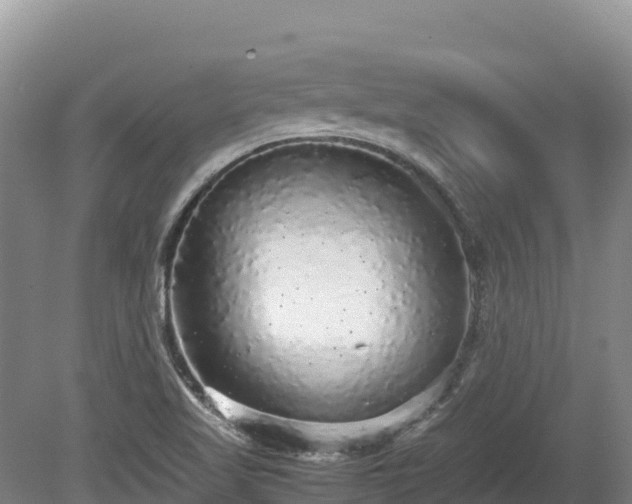 X0000080681509200612221129