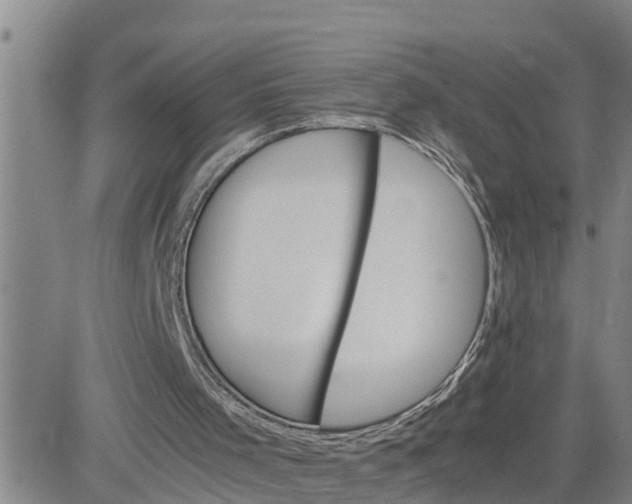 X0000080680001200612301436