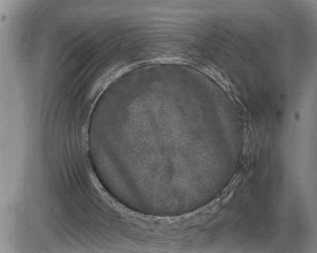 X0000080680002200612301436