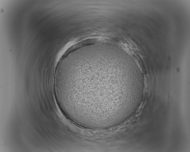 X0000080680003200612301436