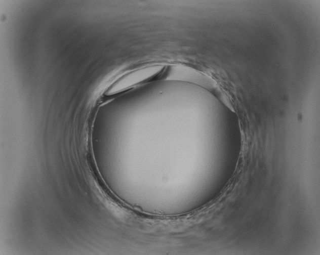 X0000080680005200612301436