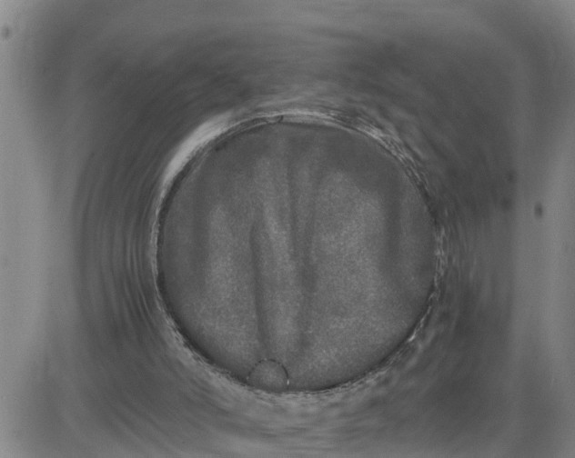 X0000080680006200612301436