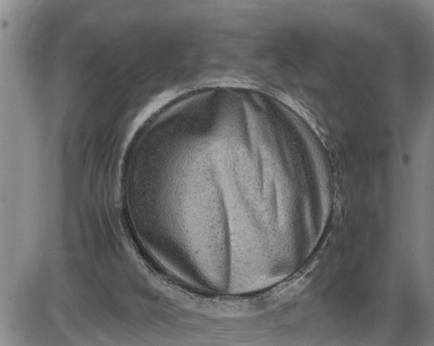 X0000080680008200612301436