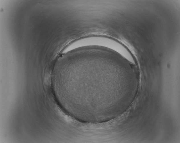 X0000080680009200612301436