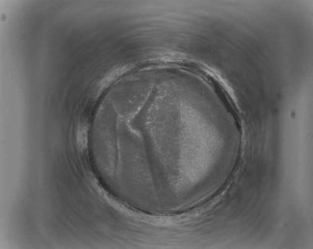 X0000080680010200612301436