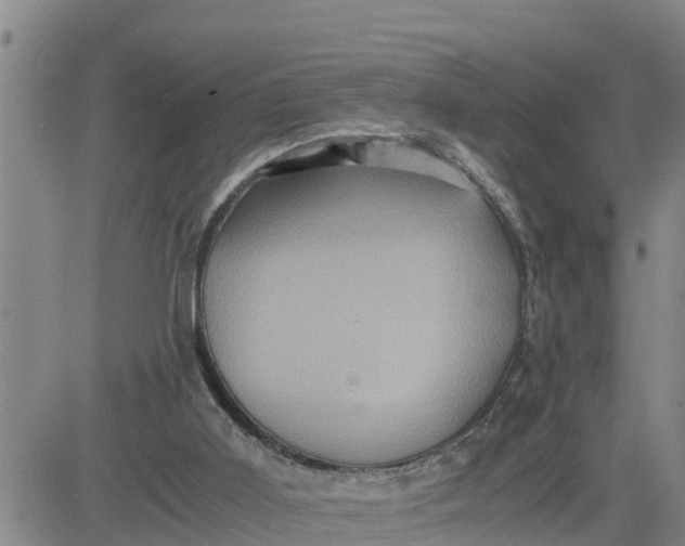 X0000080680011200612301436