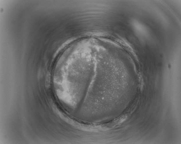 X0000080680012200612301436